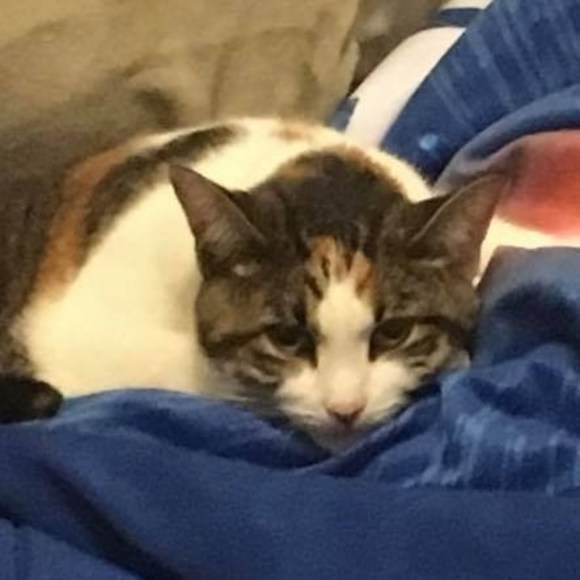 Meet your Posher, Joel - Picture 1 of 1